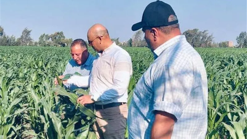 وكيل زراعة الغربية يتفقد منظومة صرف الأسمدة والمحاصيل الصيفية بمركز قطور