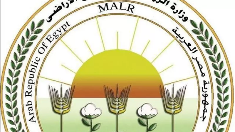 بيان توضيحي من وزارة الزراعة بشأن المساحات الفعلية المنزرعة بالقطن ومؤشرات المحصول للموسم الجديد