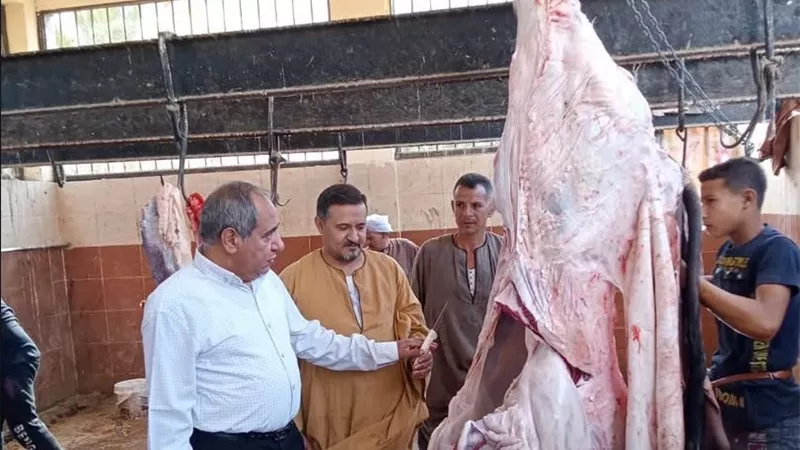 ضربة قوية للأسواق المخالفة.. ضبط قرابة طنين من اللحوم والدواجن غير الصالحة بأسيوط خلال يونيو