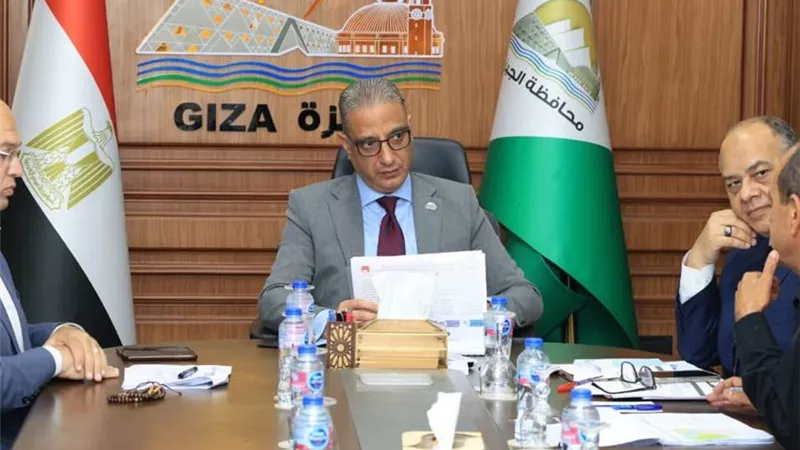 الجيزة: زراعة 500 شجرة بطريقي 6 أكتوبر والمنصورية بأبو النمرس