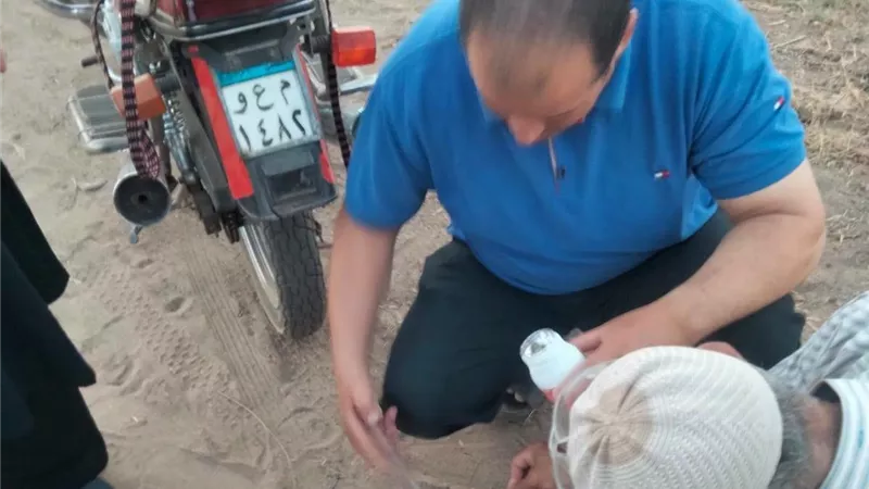 محافظة المنوفية تواجه الثعابين بالبيض المسمم.. صور