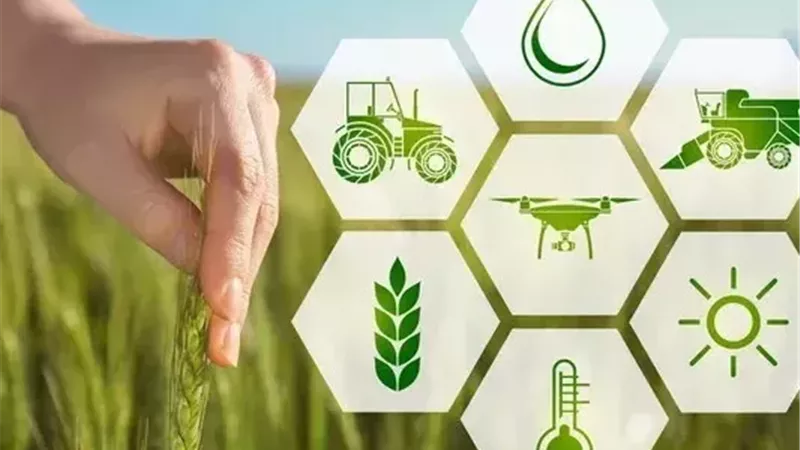 مركز المعلومات: الأنظمة الغذائية تتحول إلى اقتصاد عالمي بقيمة 6.8 تريليونات دولار