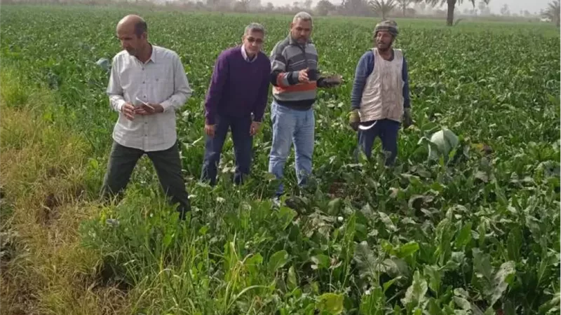 بين الرقمنة وحماية الأرض.. كيف نجحت زراعة الفيوم في إنهاء 83 حالة تعدٍ وإطلاق كارت الفلاح؟
