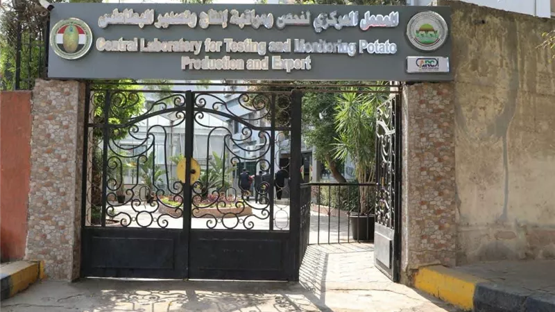 وزارة الزراعة تكشف استعداداتها لموسم البطاطس الجديد.. تفاصيل