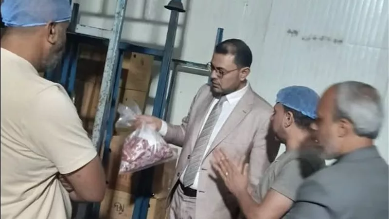 ضربة جديدة للغش الغذائي.. ضبط أكثر من 2 طن لحوم ومصنعات دواجن غير صالحة بالشرقية