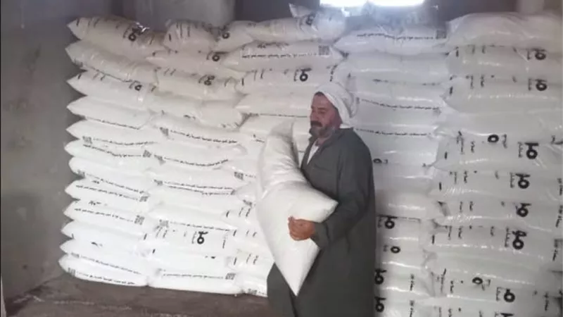زراعة كفر الشيخ  تشدد الرقابة على صرف الأسمدة.. ووقف الدعم للمعتدين على الأراضي والمخالفين