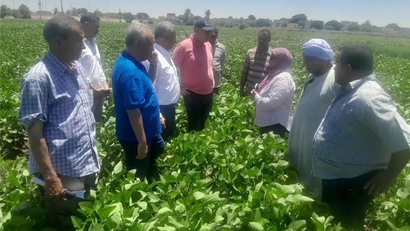 بتوجيهات وزير الزراعة.. رئيس قطاع الخدمات يتفقد 2000 فدان بالمنيا ويدفع بالتوسع في الري الحديث والطاقة الشمسية