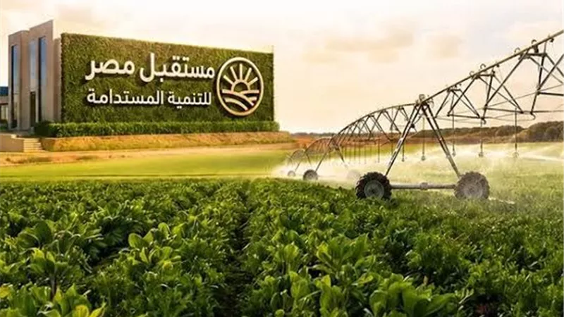 بهاء الغنام: جهاز مستقبل مصر ينفذ مشروعات زراعية وتنموية على مساحة تقدر بنحو 4 ملايين فدان