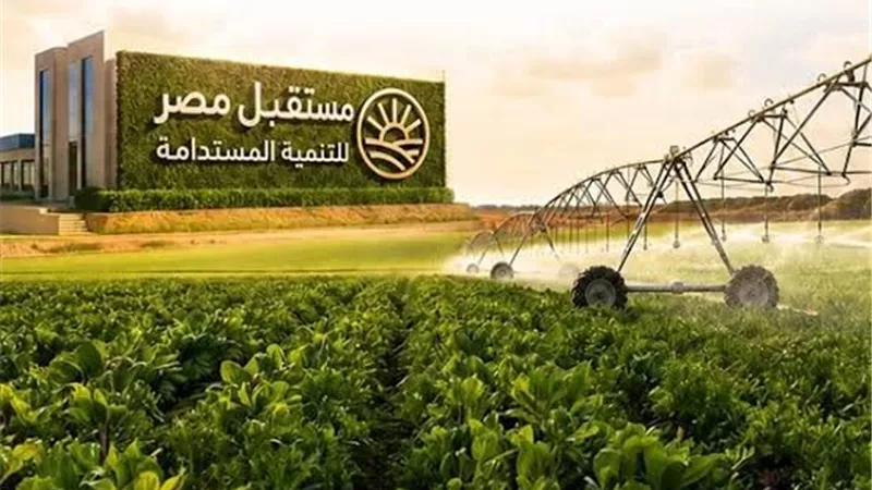 من القمح لبنجر السكر.. جهاز مستقبل مصر يتوسع في زراعة المحاصيل الاستراتيجية