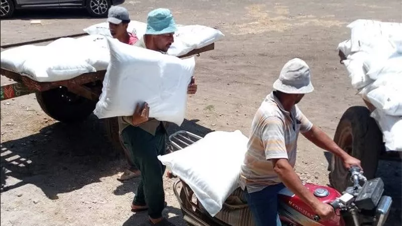 الزراعة تتابع انتظام صرف الأسمدة المدعمة للمزارعين بشربين للموسم الصيفي