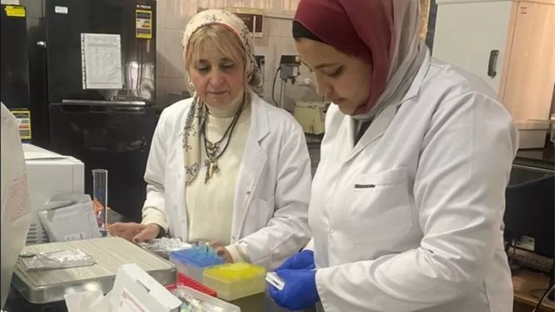 37 ألف عينة و186 ألف حملة رقابية.. “المركزي للمبيدات” يكشف حصاد 6 أشهر لحماية الزراعة وسلامة الغذاء