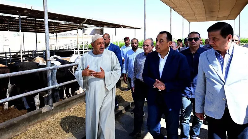 وزير الزراعة: تقديم الدعم الفني والرعاية البيطرية المتكاملة لكافة المستثمرين