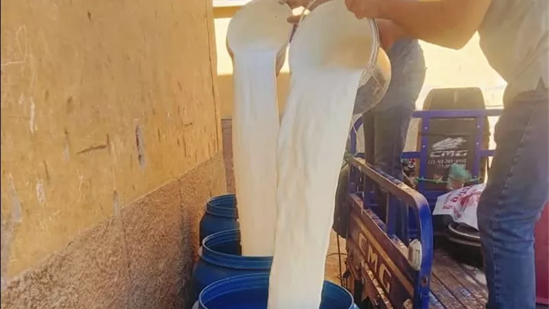 قبل طرحه بالأسواق.. ضبط 450 كيلو لبن غير صالح للاستهلاك في أسيوط