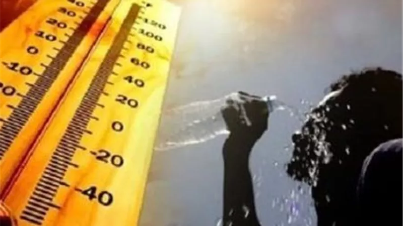 المحسوسة تصل لـ 46 درجة.. درجات الحرارة المتوقعة وحالة الطقس حتى الخميس 6 أغسطس