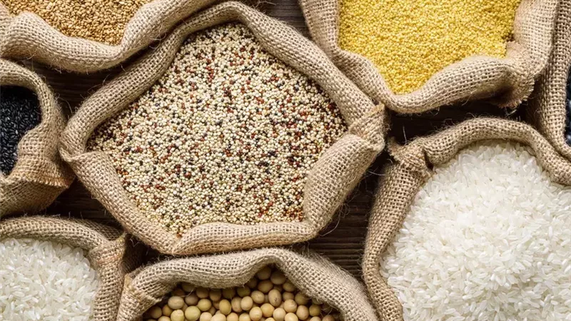 من الإنتاج إلى التوزيع.. كيف تبني مصر منظومة متكاملة لتحقيق الأمن الغذائي؟