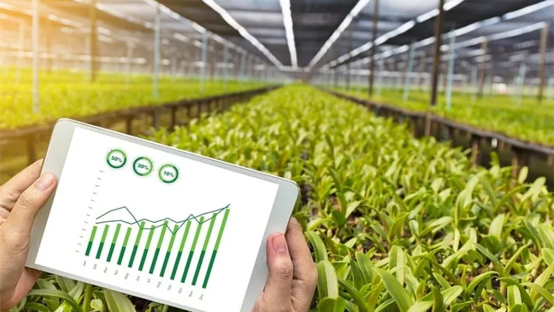 التكاليف والإنترنت يعرقلان انتشار الذكاء الاصطناعي في المزارع الأمريكية 