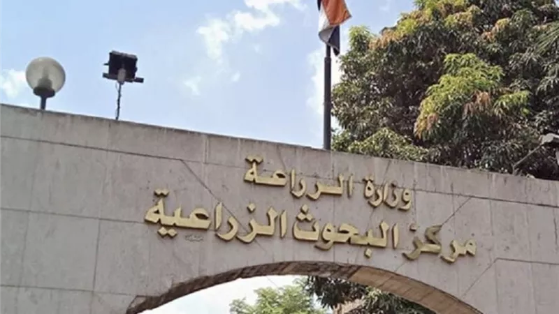 قرار حكومي بإعادة هيكلة القطاع الزراعي.. دمج الهيئة الزراعية المصرية في مركز البحوث