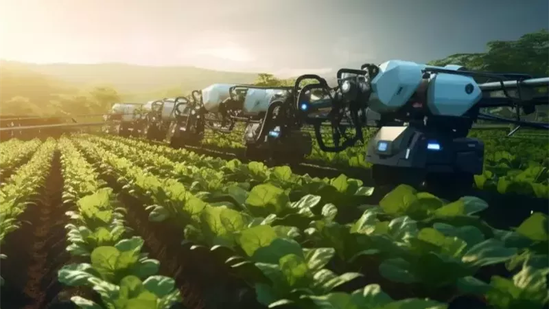 الذكاء الاصطناعي يقتحم الحقول الأمريكية.. سوق مراقبة المحاصيل يتجاوز مليار دولار بحلول 2031