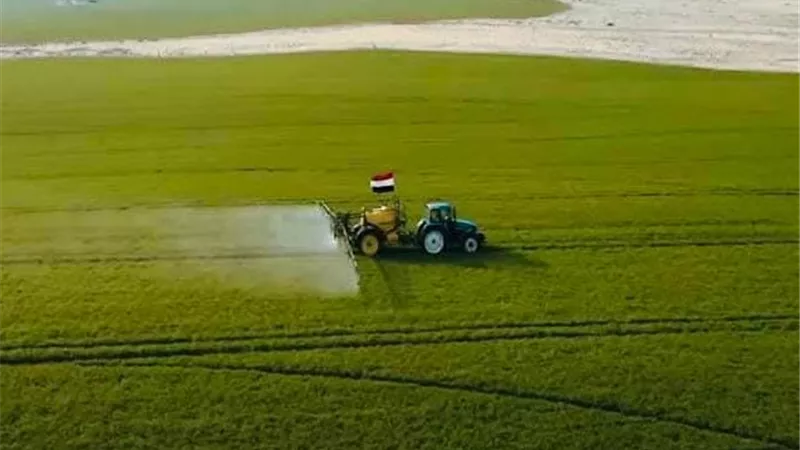 من استصلاح الأراضي إلى قيادة الاقتصاد الإنتاجي.. مستقبل مصر يعيد رسم خريطة التنمية في مصر