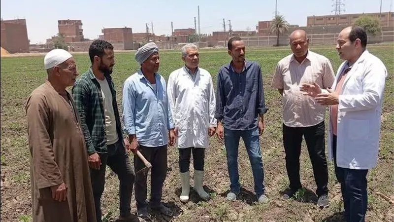 محافظ أسيوط يوجه بتكثيف التوعية البيطرية لحماية الثروة الحيوانية وتعزيز الأمن الغذائي