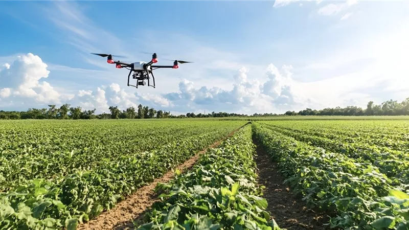 المزارع الرقمية في 2030.. كيف ستزرع الذكاء الاصطناعي غداء المستقبل؟ 