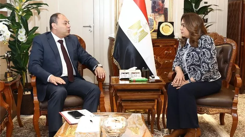 وزارة التنمية المحلية والبيئة تتابع المشروعات الجارية مع رئيس هيئة تنمية الصعيد
