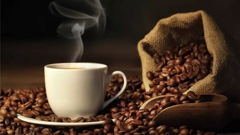 قبل ما تشرب فنجان القهوة.. شعبة البن تحذر من الغش وخبراء يكشفون مخاطر المنتجات المجهولة