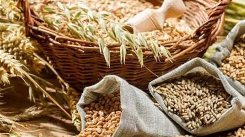 الذرة والقمح وفول الصويا تتراجع في بورصة شيكاغو قبل قمة ترامب وشي