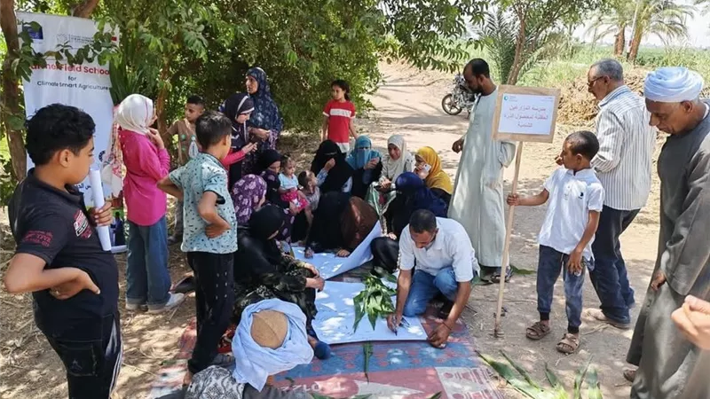 الإرشاد الزراعي بسوهاج ينفذ مدرسة حقلية لتأهيل المزارعين وحل المشكلات الزراعية ميدانيًا
