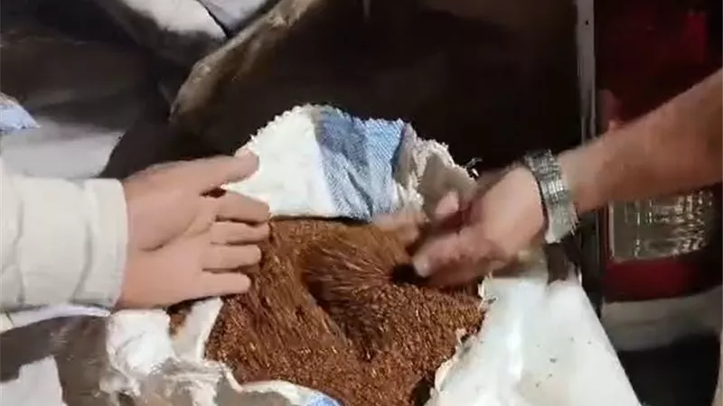 ضبط مصنع مخصبات زراعية يقوم باستخدام السماد المدعم والمحظور استخدامه