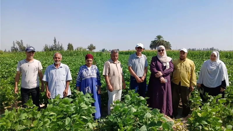 محاصيل استراتيجية تحت المتابعة.. الزراعة تتفقد حقول الذرة والصويا والقطن بالإسماعيليك