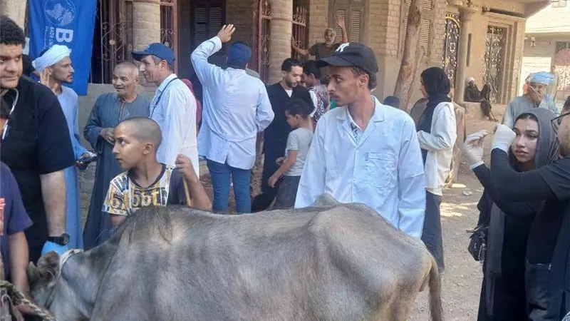 قافلة بيطرية مجانية في أسيوط تعالج أكثر من 2800 رأس ماشية وطيور لدعم صغار المربين