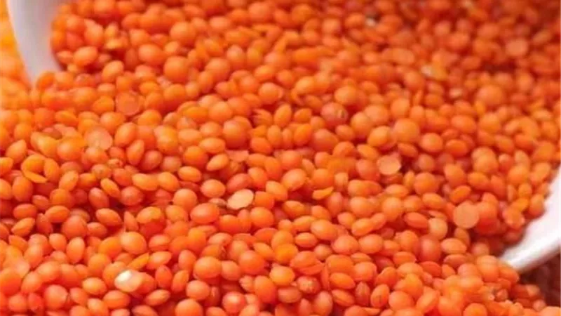 واردات مصر من العدس تقفز 334% خلال 4 أشهر.. 15.5 مليون دولار لسد فجوة الإنتاج المحلي