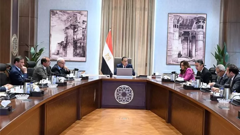 بتكليف رئاسي.. الحكومة تطلق برنامجًا وطنيًا لضبط أسعار السلع والتوسع في منافذ البيع