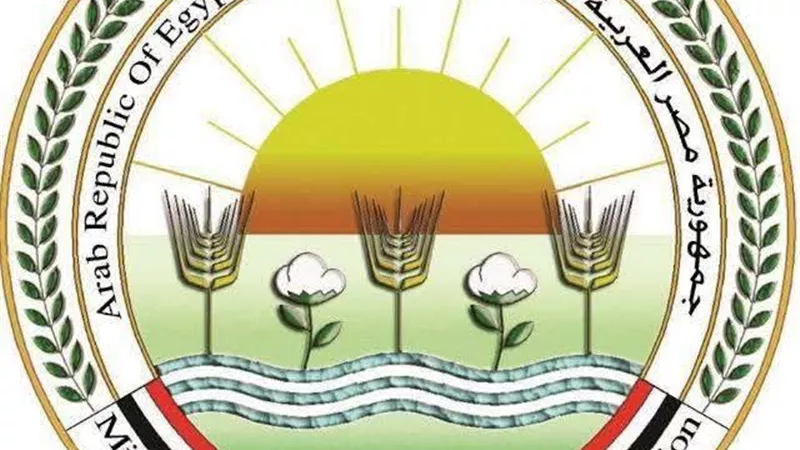 الزراعة تمنح 907 تراخيص جديدة لمشروعات الثروة الحيوانية والداجنة في أغسطس