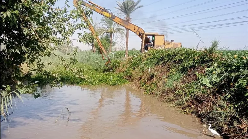 أسيوط ترفع درجة الاستعداد للري.. تطهير الترع ورفع المخلفات لضمان وصول المياه للمزارعين