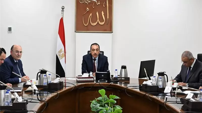 الكتان يعود للواجهة.. الحكومة تستهدف زراعة 100 ألف فدان وتحويل مصر لمركز إقليمي للصناعة بحلول 2030