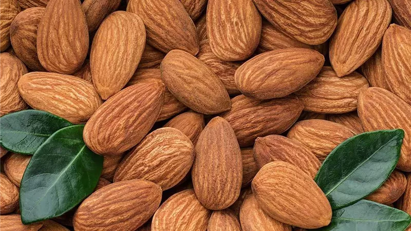 اللوز.. محصول ذهبي يواجه تحديات المناخ في المنطقة العربية