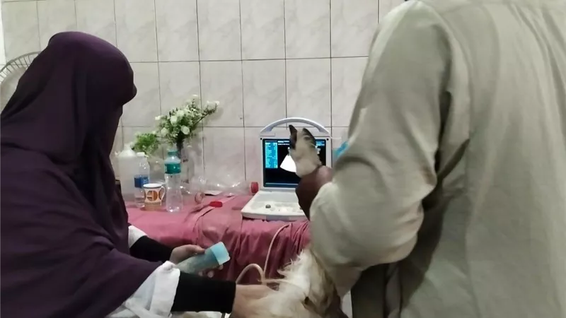 الطب البيطري بالقاهرة يواصل جهوده الميدانية.. علاج 29 حيوانًا وتحصين 140 أرنبًا ضد الأمراض
