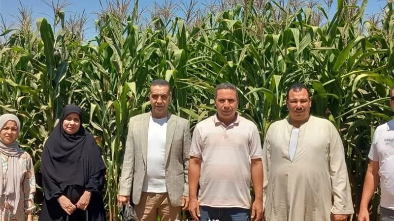 الإرشاد الزراعي يكثف متابعة حقول ترشيد الري بالمنوفية لرفع الإنتاجية وخفض استهلاك المياه