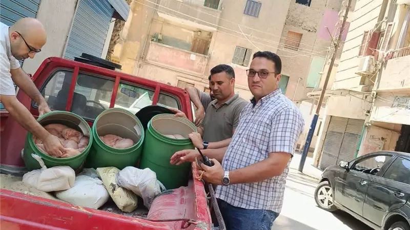 الخدمات البيطرية بالمنوفية تضبط نحو نصف طن من المنتجات الغذائية المخالفة خلال حملات تفتيشية