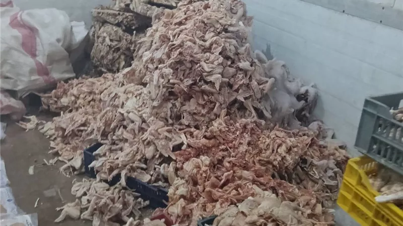 ضبط 2 طن و499 كجم من الدواجن المجمدة الفاسدة قبل تداولها بالأسواق