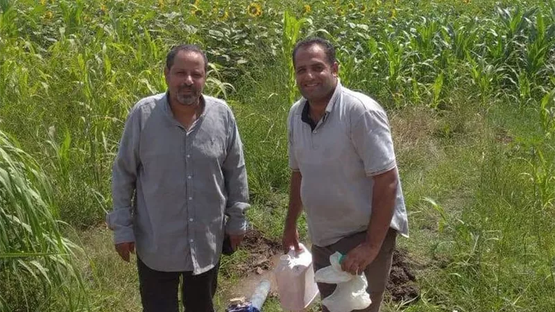 زراعة المنوفية تنظم قافلة إرشادية متكاملة بقرية شنوان لدعم الإنتاج النباتي والحيواني