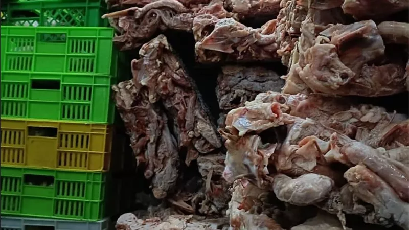 الزراعة: ضبط 226 طنًا من اللحوم ومنتجاتها المخالفة وتحرير 761 محضرًا خلال يوليو