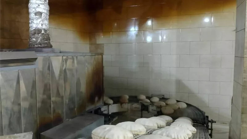 محافظ المنوفية: تحرير 632 محضرًا وضبط 2 طن أرز مجهول المصدر و10 شكائر دقيق مدعم خلال أسبوع