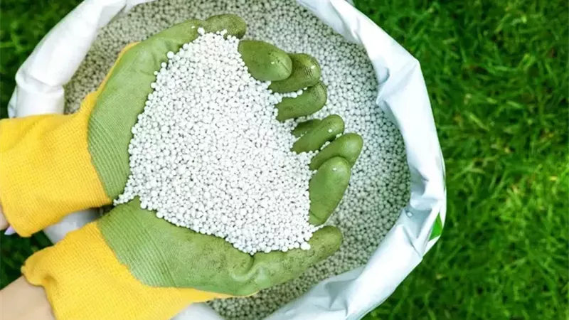 الأسمدة المصرية تواصل الزحف عالميًا.. وفرنسا ضمن أكبر المستوردين