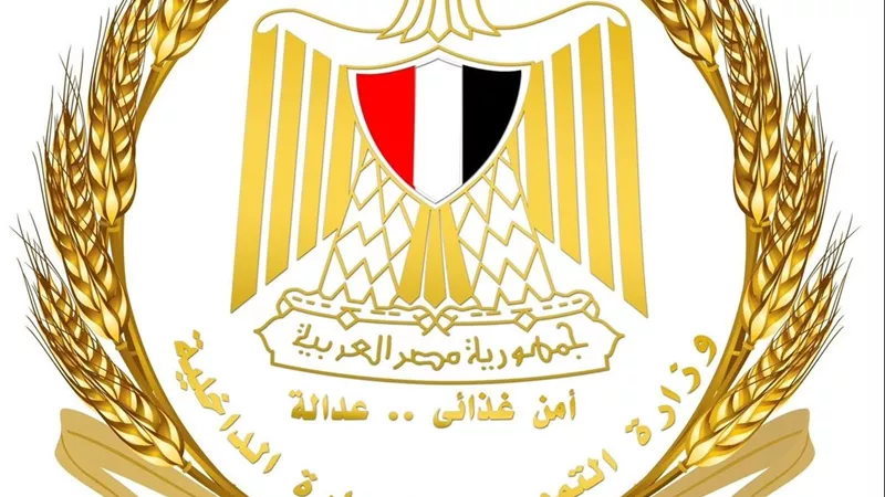 وزارة التموين: بدء تطبيق «كارت المفتش» غدًا الأول من سبتمبر