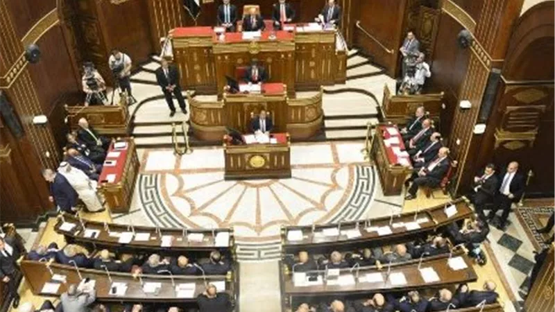 برلماني: اجتماع الرئيس بشأن الأمن الغذائي يؤكد حرص الدولة على استقرار الأسواق وتعزيز الحماية الاجتماعية