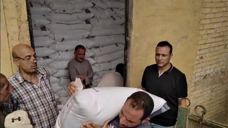 رقابة صارمة على الجمعيات الزراعية بالمنوفية.. حملات مفاجئة لضبط صرف الأسمدة وحماية حقوق المزارعين