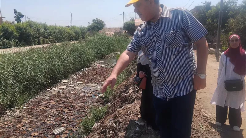 مدرية الزراعة بالغربية تواصل حملاتها الواسعة لمكافحة القوارض حمايةً للأمن الغذائي والصحة العامة